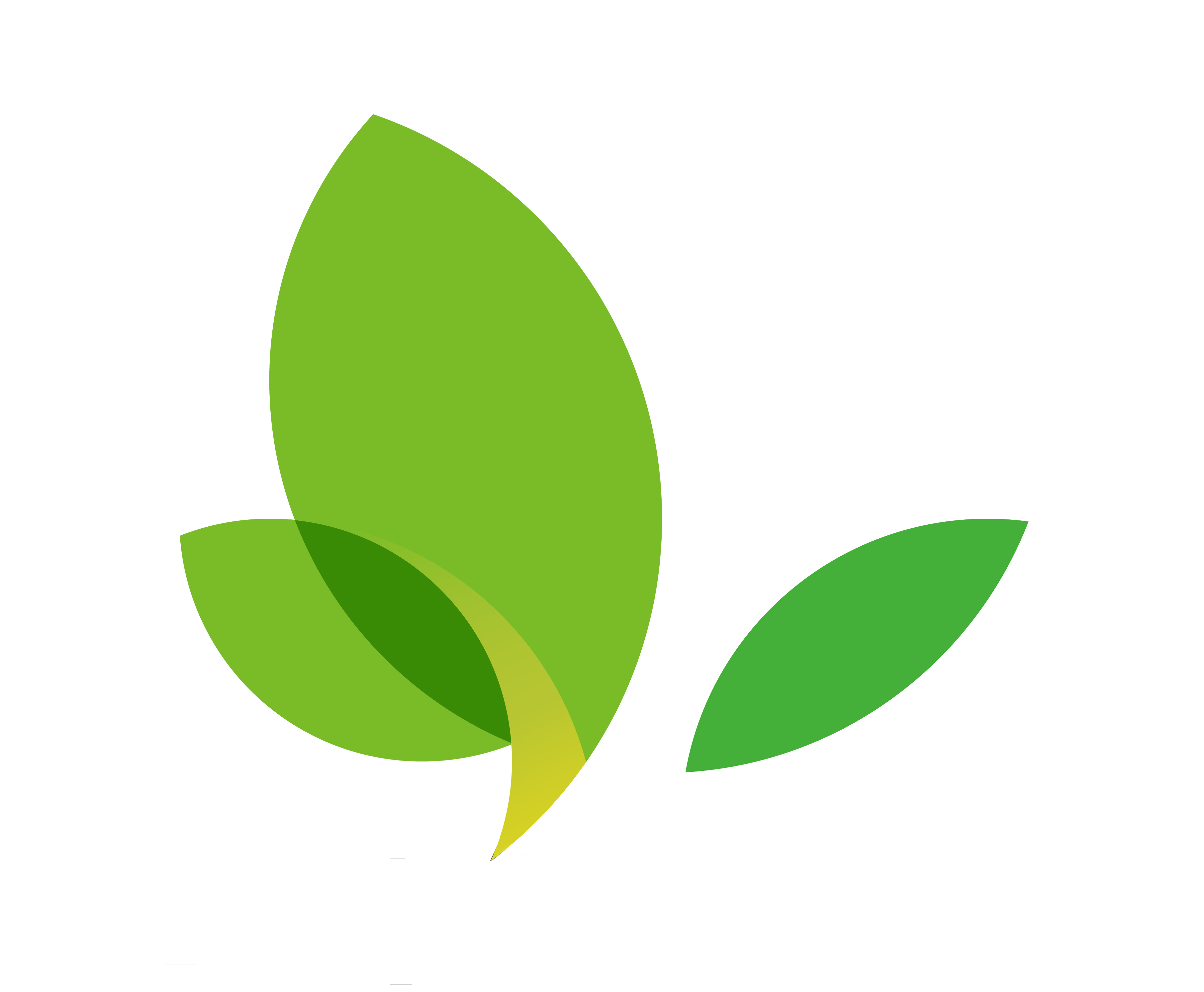 亚星游戏登录正网