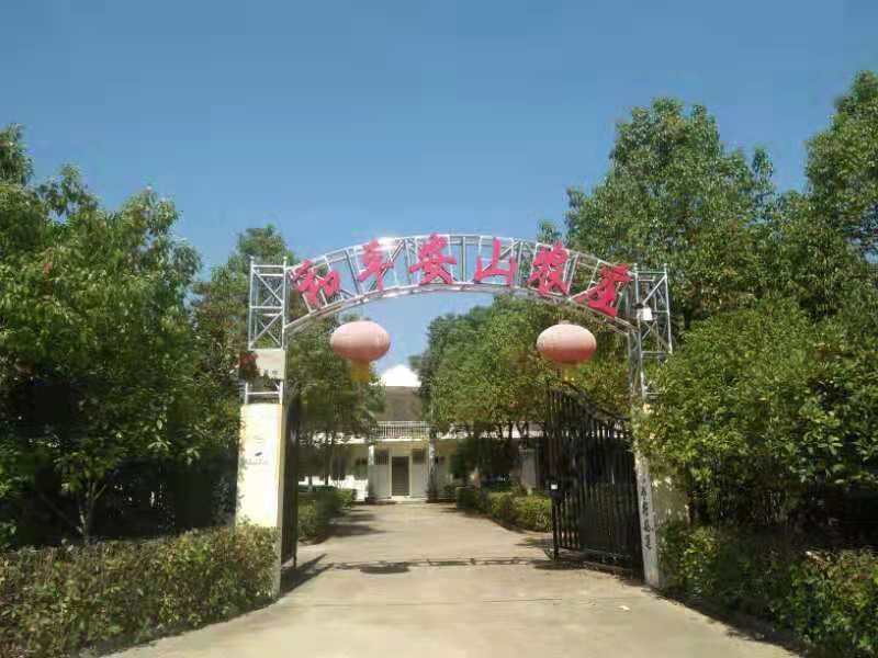 亚星游戏登录正网